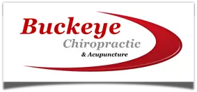 danni-logo-hcard Chiropractic Willoughby OH Buckeye Chiropractic Clinic Logo small